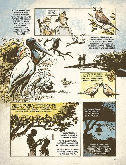 les oiseaux
