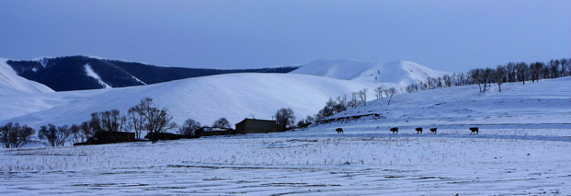Paysage hivernal Mongolie intérieure