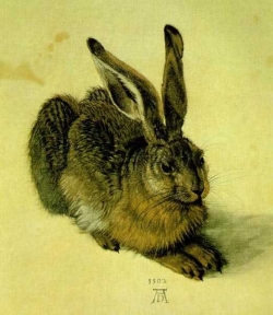 Albrecht Dürer, jeune lièvre